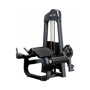 DEASN 15 PRONE LEG CURL